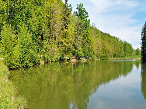 4.3Staldenweiher Fehraltorf